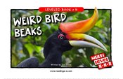 Weird Bird Beaks