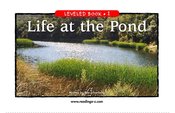 Life at the Pond