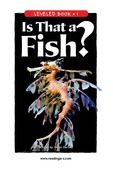 Is That a Fish?