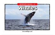Whales