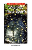 What Has These Spots?