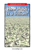 How Much Is a Trillion?