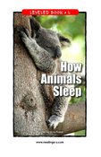 How Animals Sleep