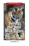 Saving the Last Wild Tigers
