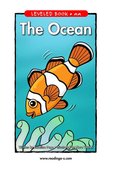 The Ocean