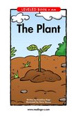 The Plant