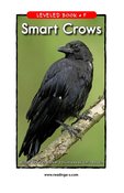 Smart Crows
