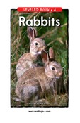 Rabbits