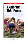 Exploring Tide Pools