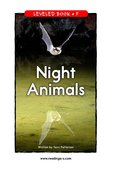 Night Animals