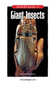 Giant Insects