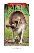 Whereu0027s the Joey?