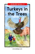Turkeys in the Trees