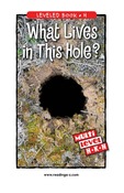 What Lives in This Hole?