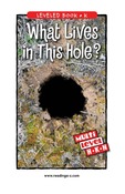 What Lives in This Hole?