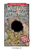 What Lives in This Hole?