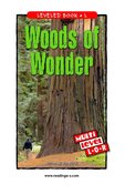 Woods of Wonder