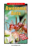 Awesome Ants