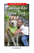 Caring for Your Dog