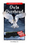 Owls Overhead