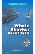Whale Sharks: Giant Fish