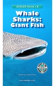 Whale Sharks: Giant Fish
