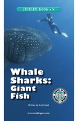 Whale Sharks: Giant Fish