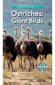 Ostriches: Giant Birds