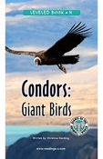 Condors: Giant Birds