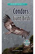 Condors: Giant Birds