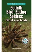 Goliath Bird-Eating Spiders: Giant Arachnids