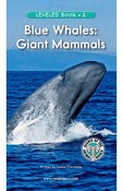 Blue Whales: Giant Mammals