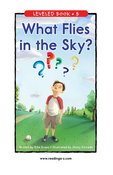 What Flies in the Sky?