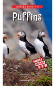 Puffins