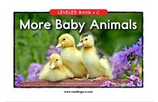 More Baby Animals