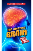 The Amazing Brain