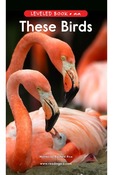 These Birds