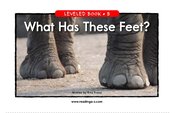 What Has These Feet?