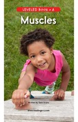 Muscles