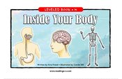 Inside Your Body
