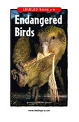 Endangered Birds