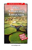 The Amazing Amazon