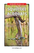 Squirrel Acrobats