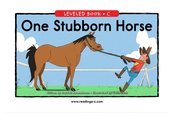 One Stubborn Horse