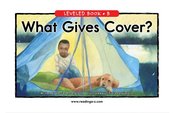 What Gives Cover?