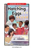 Hatching Eggs