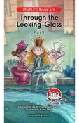 Through the Looking Glass (Part 9)