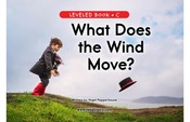 What Does the Wind Move?