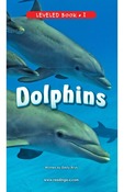 Dolphins