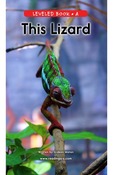 This Lizard